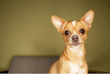 《如龙0》《如龙：极》《如龙：极2》再被加入到XGP